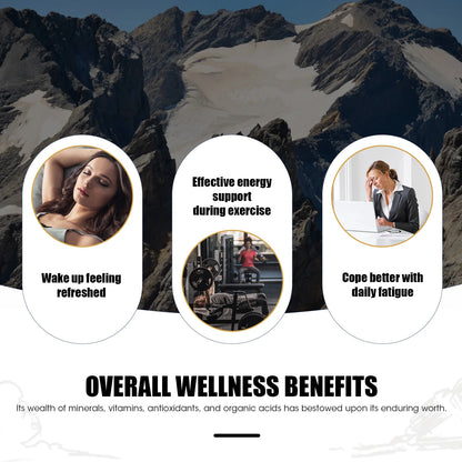 Pure Shilajit Supplement